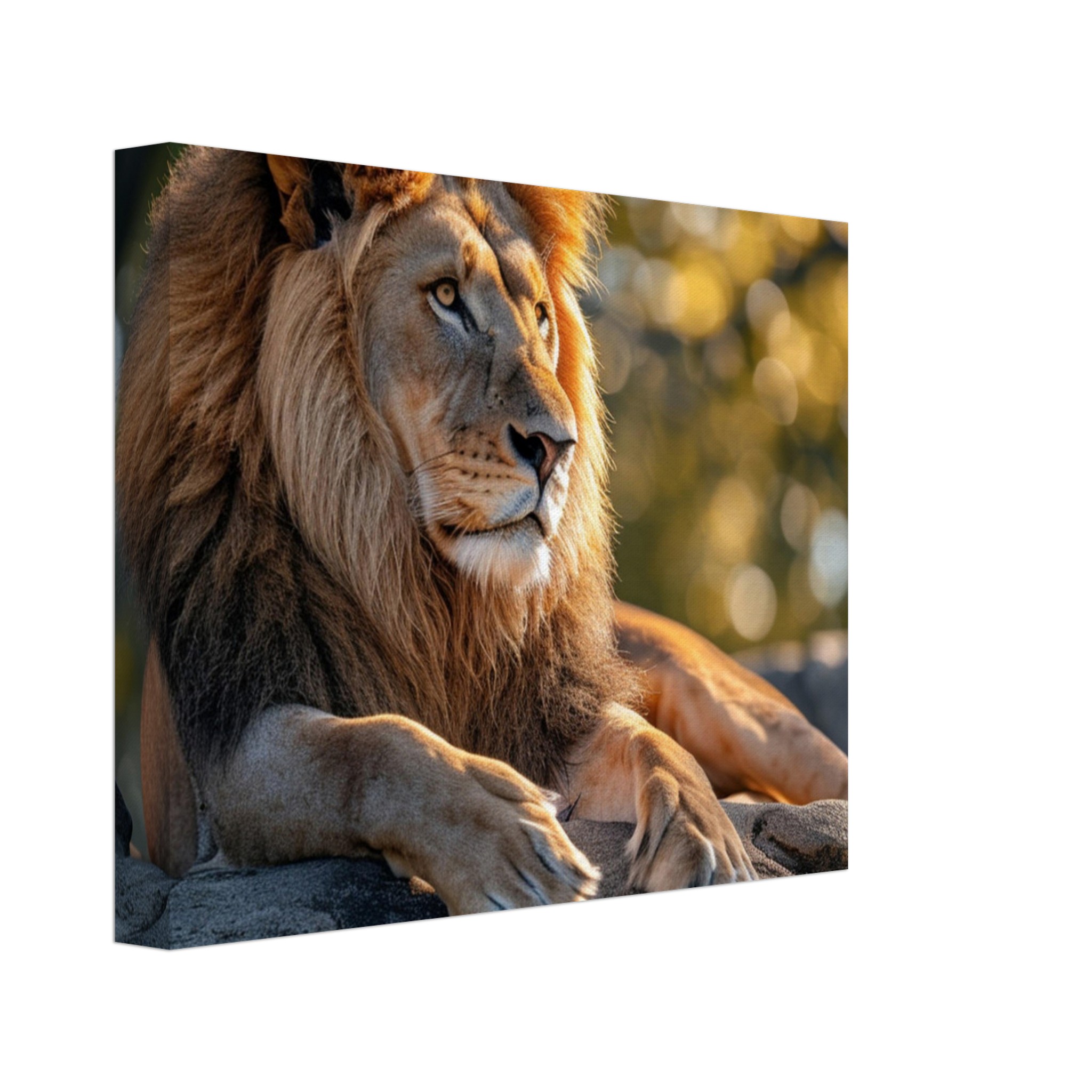 Majestic Lion