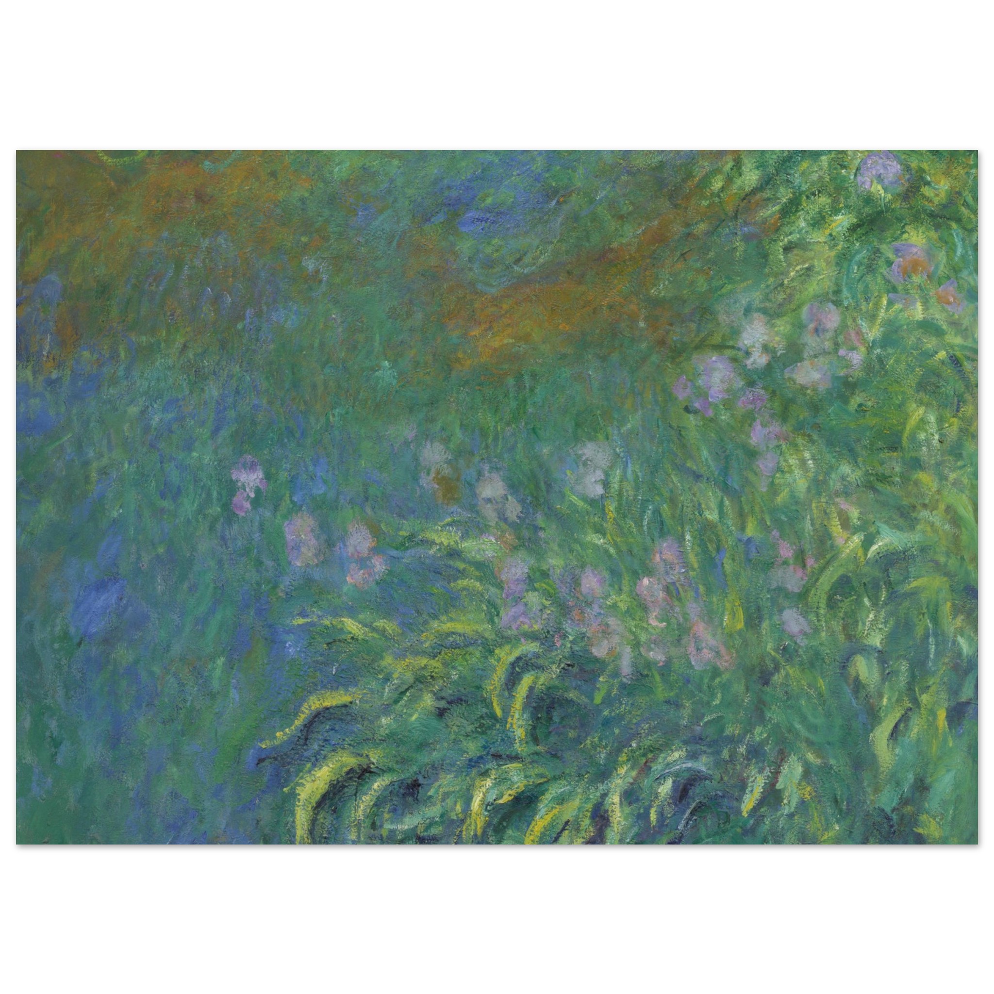 Irises by Claude Monet